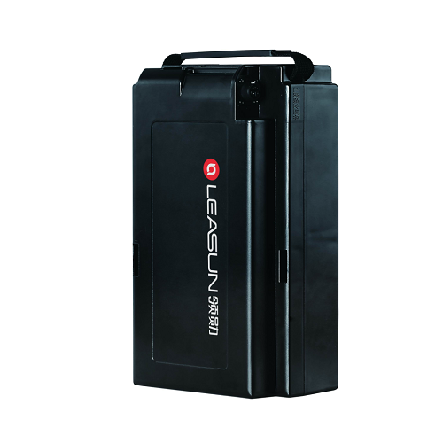 Battery Pack LX4820/24BG
